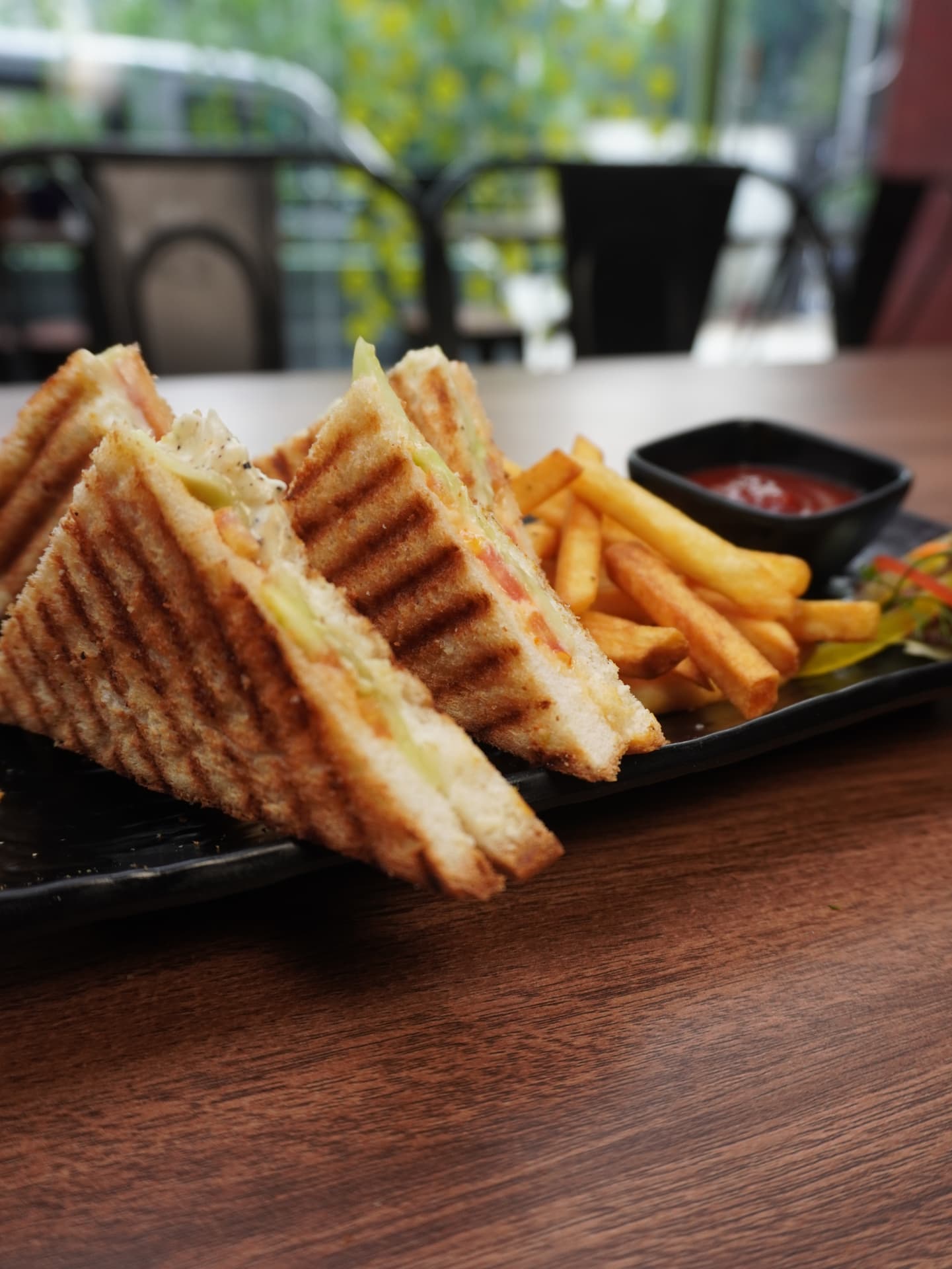 Grilled veg sandwich with fries and ketchup
